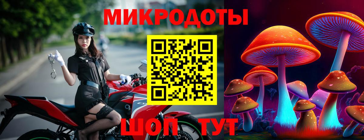 Псилоцибиновые грибы MAGIC MUSHROOMS  Вход с VPN  Вятские Поляны 